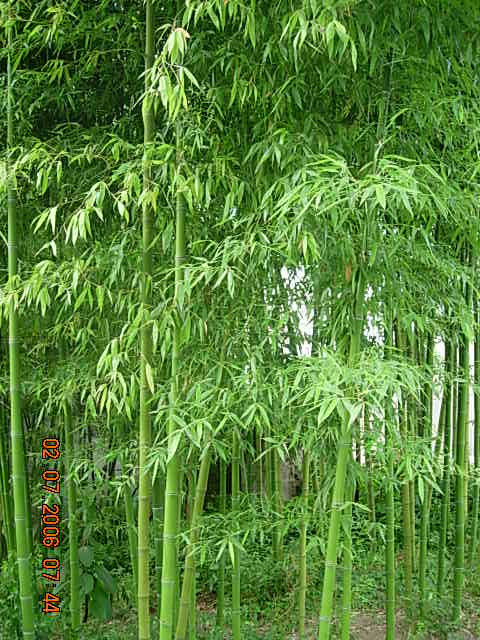 t񣨼t񡢼tS񡢼tu񣩈DƬ