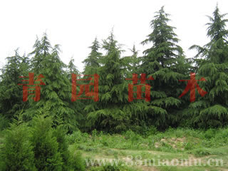 (yu)|(zh)Ѳѩ//r(ji)(yu)݈DƬ