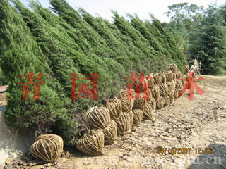 (yng)uأߗUŮؑľDƬ