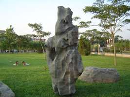 寶林苗圃綠化設計假山設計油松赤松黑松盆景柿子樹圖片