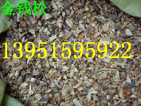 X  _h RβAɽɷNӈDƬ