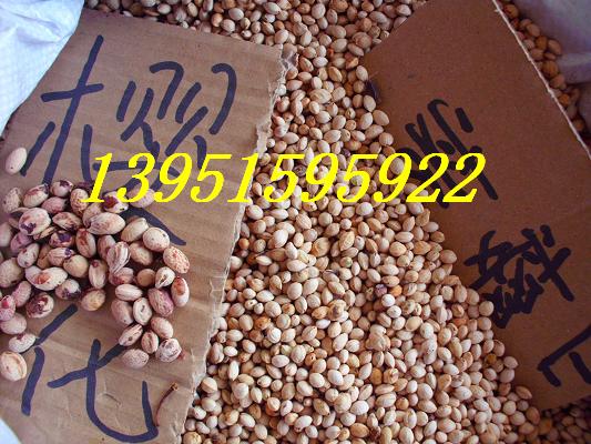 ѻľɽ Ұ ݙ Ι ɽѻ ҰѻNӈDƬ