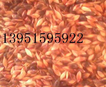 K ߵ ϻޣ ݵݷNӈDƬ