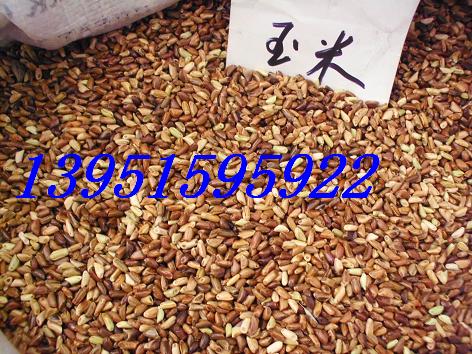 ī  ϻޣKݸߵݵݷNӿfȫDƬ