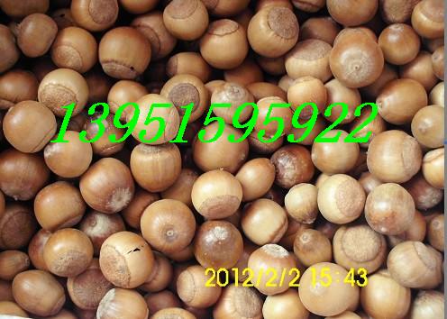 䡢ט䡢yӡꡢ׹ͩͩĸșѻȷNӈDƬ