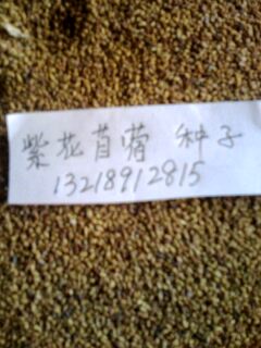 ۺݷN ޣN ÷˹NӈDƬ