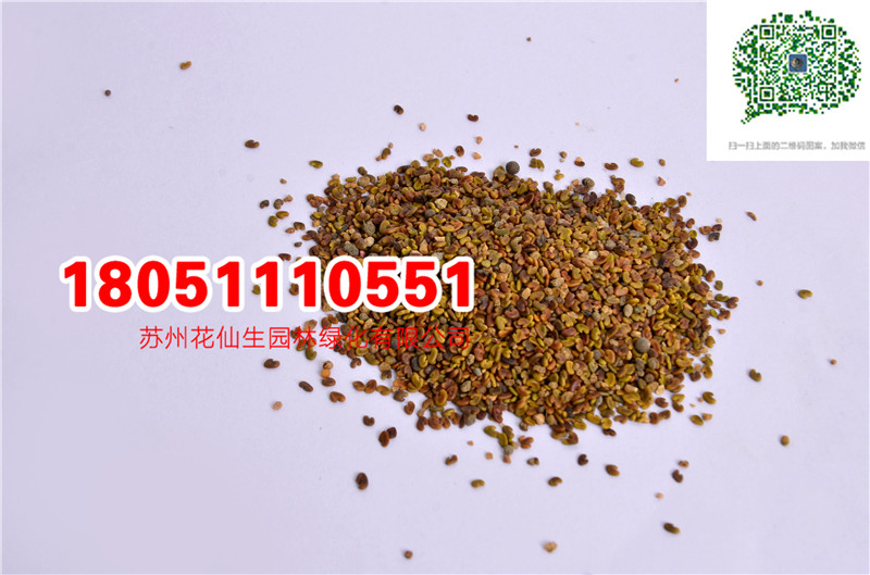 |ӢݷNϻޣKݺݵݷNӌĈDƬDƬ