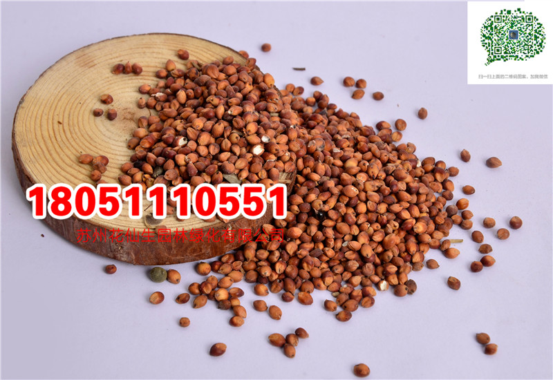 |ߵݷNӃrĈDƬSֱNrDƬ