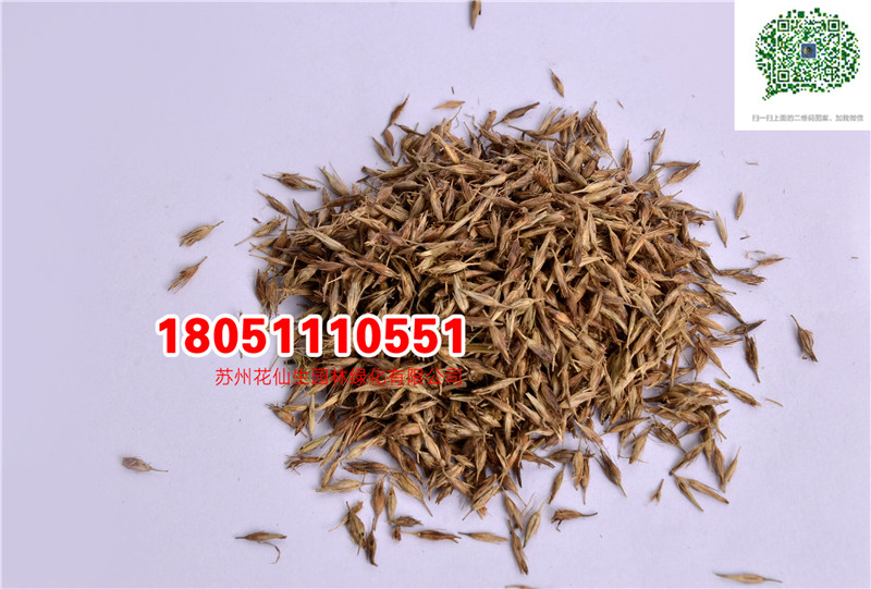 |βݷNӃrĈDƬSֱNrDƬ