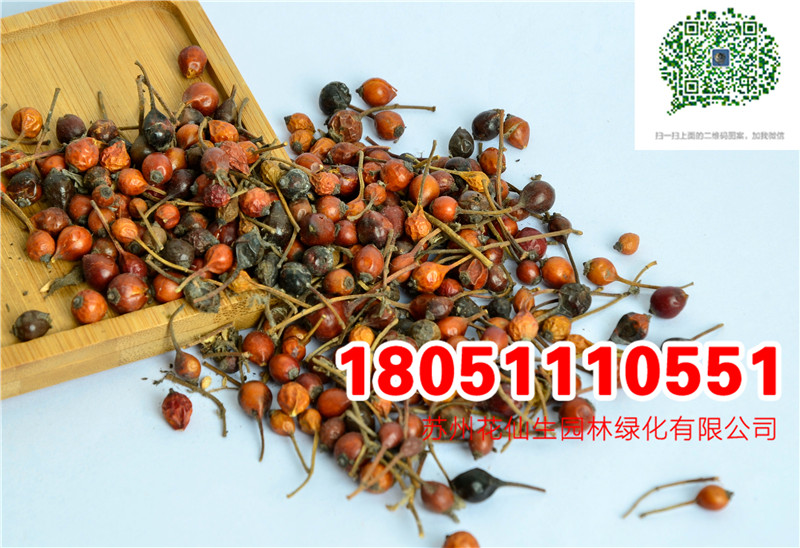 (yu)|(zh)NޱN(sh)ĈDƬSֱNr(ji)DƬ