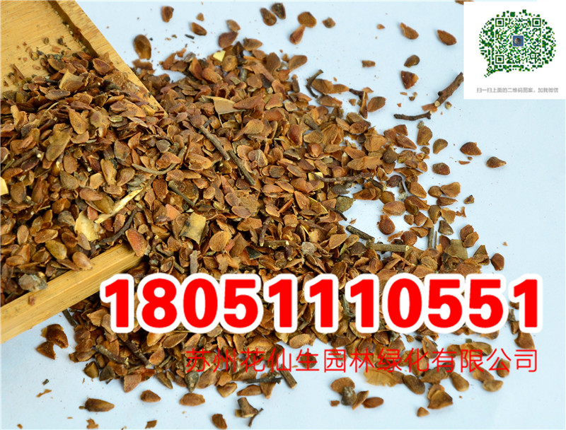 |㴻ѷNĈDƬSֱNrDƬ