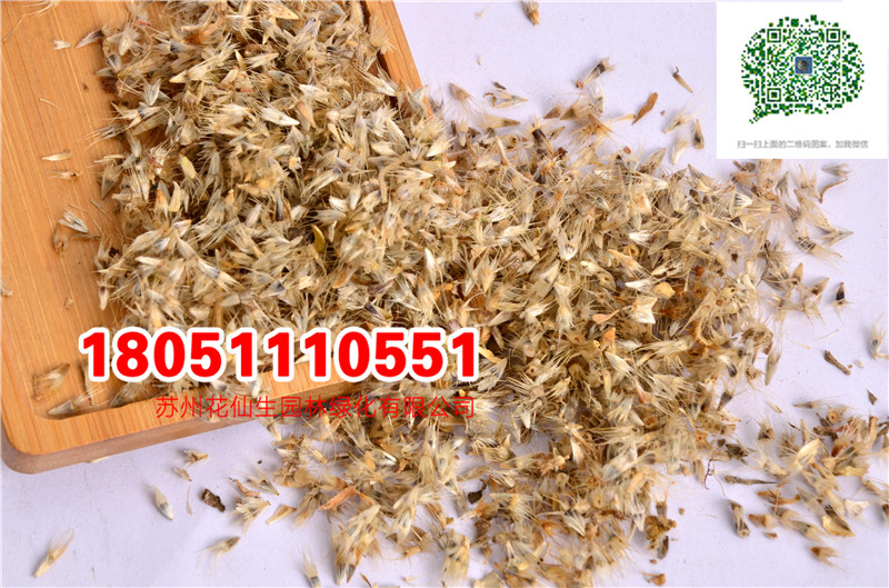 l|˾շNӮ²ɷNĈDƬSֱNrDƬ