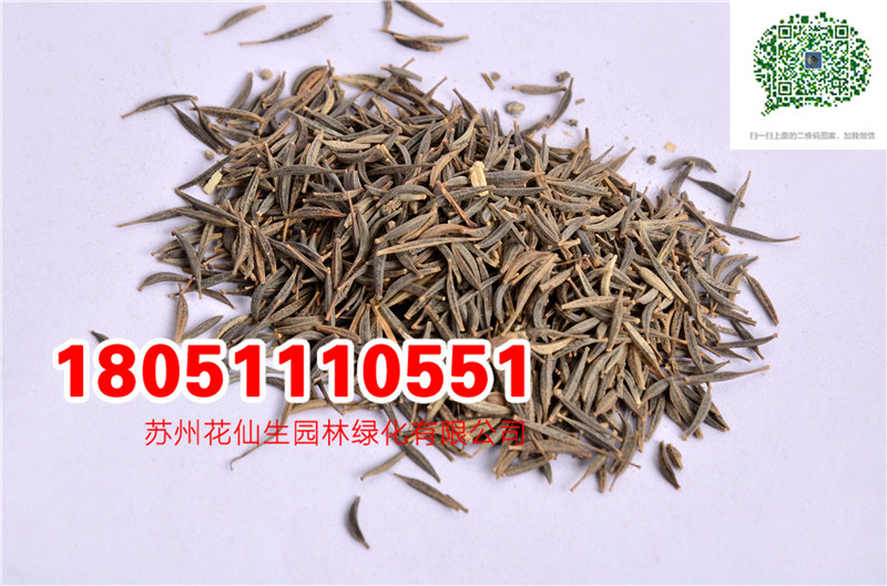 l|ߗUɫ˹շNӮ²ɷNĈDƬSֱNrDƬ