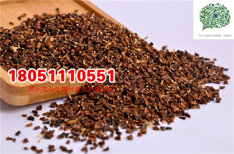 l|շNӮ²ɷNĈDƬSֱNrDƬ