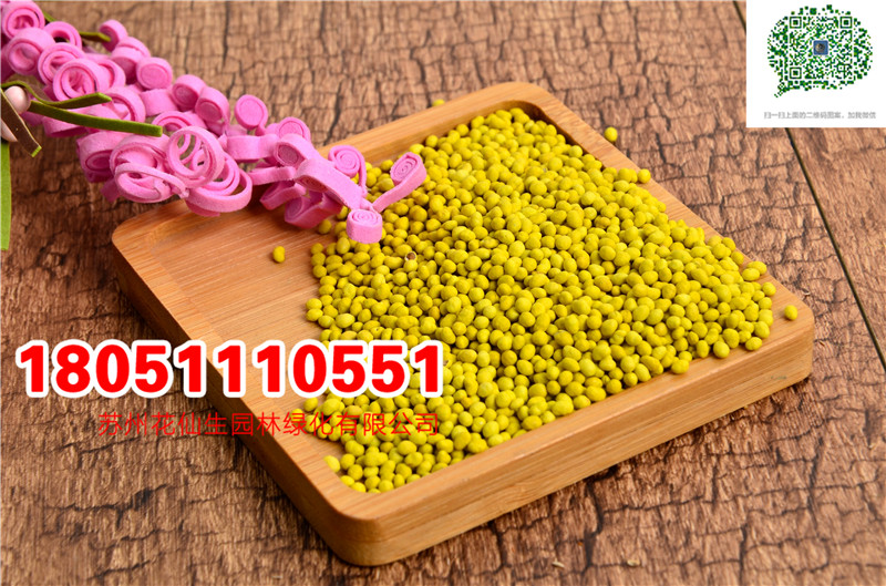 l|ݷNӰϻޣNĈDƬSֱNrDƬ