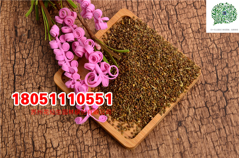 l|ݷNɳNӮ·NĈDƬSֱNrDƬ