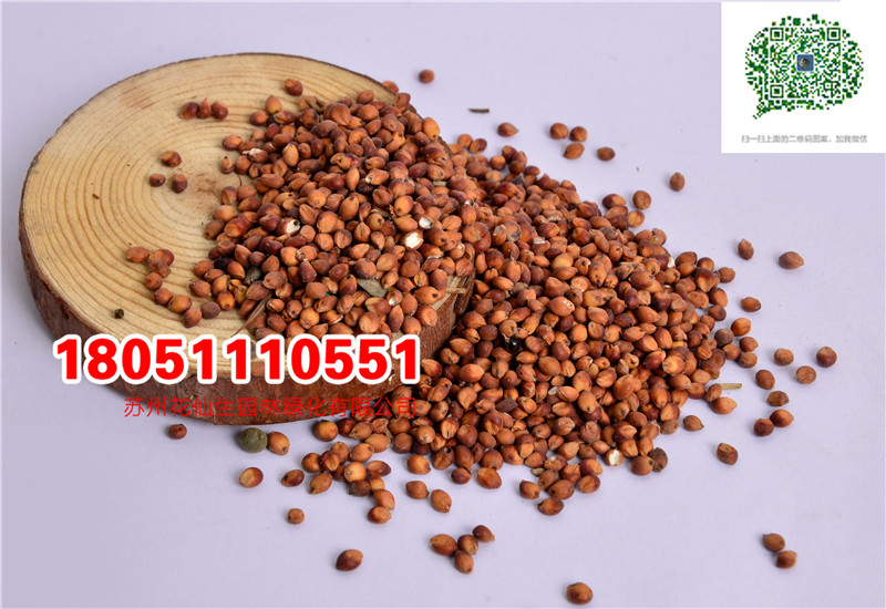 l|ݷNӸߵݷNKݺβݹβݻݏS҈DƬ