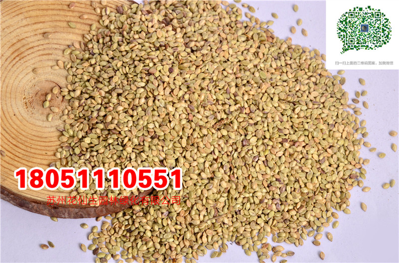 l|ƺϲݷNļĽéoSֱNrDƬ