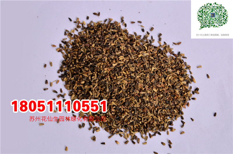 l(f)(yu)|(zh)ķNӮ(dng)²ɷN(sh)ĈDƬSֱNr(ji)DƬ