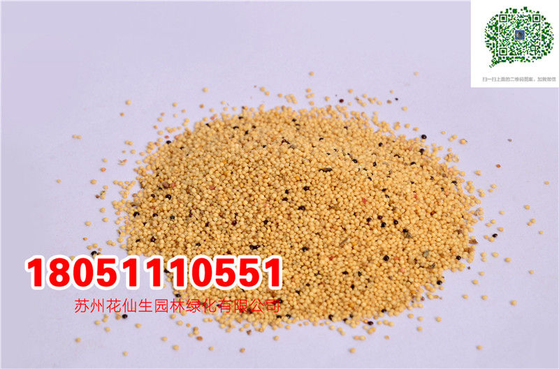 l|{NӺKݸߵīײβ݈DƬ