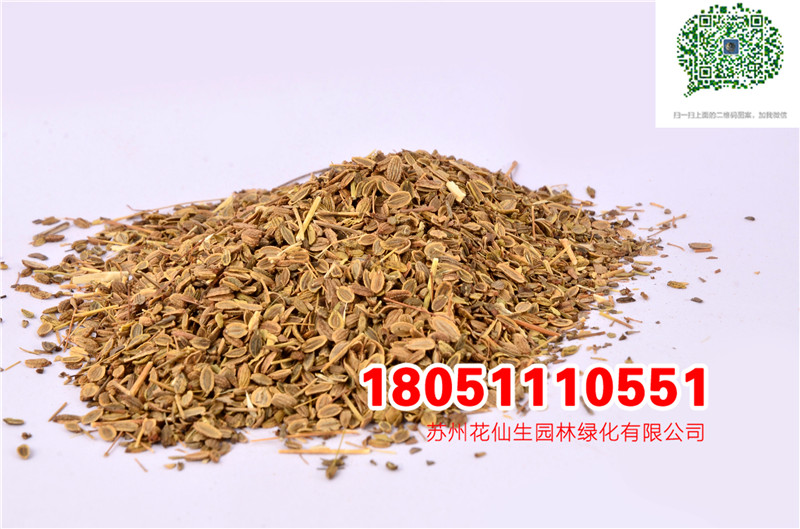 |ˎķNӷLNӱQhS᯼tNӈDƬ