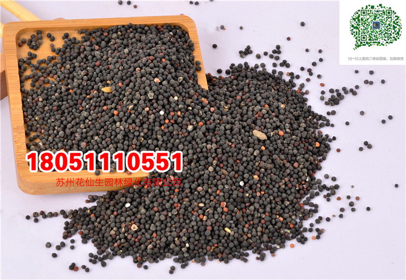 l|MǷNѹӢ{Sβ޹²Cշ޾շNӏS҈DƬ