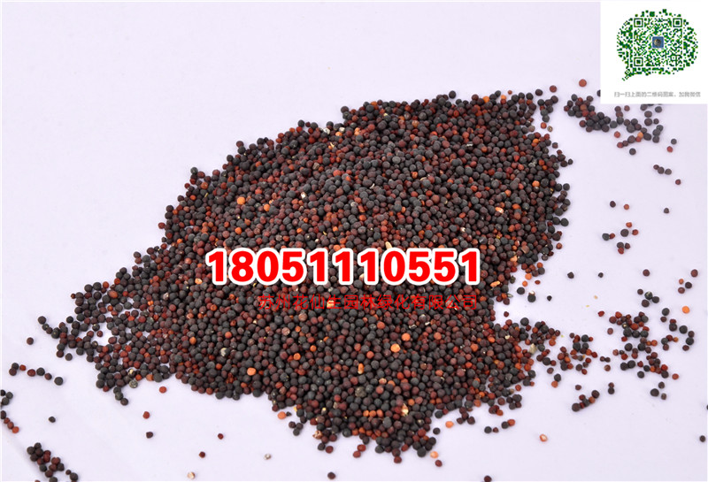 l|ɫMǷNӌĈDƬSֱNMǷNӈDƬ