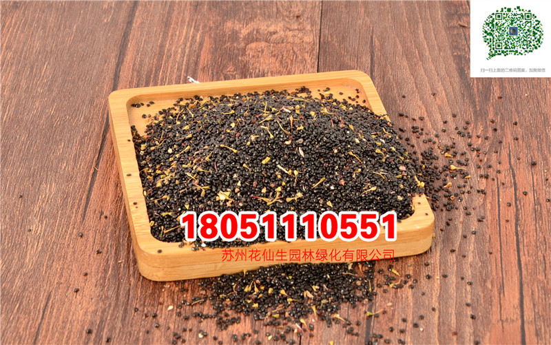 l|uڻNӲݻNӌĈDƬSֱN޹²ݲ˹w݈DƬ