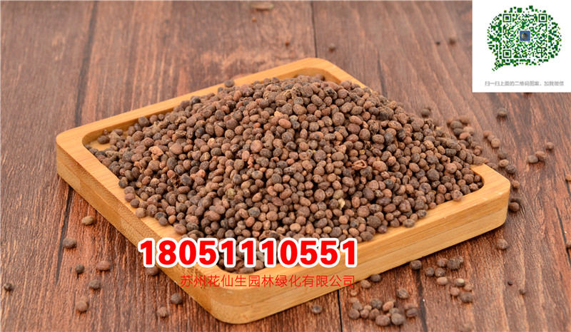 l|軨PɷNӌĈDƬSֱNѩѩ݆f۾ՏS҈DƬ