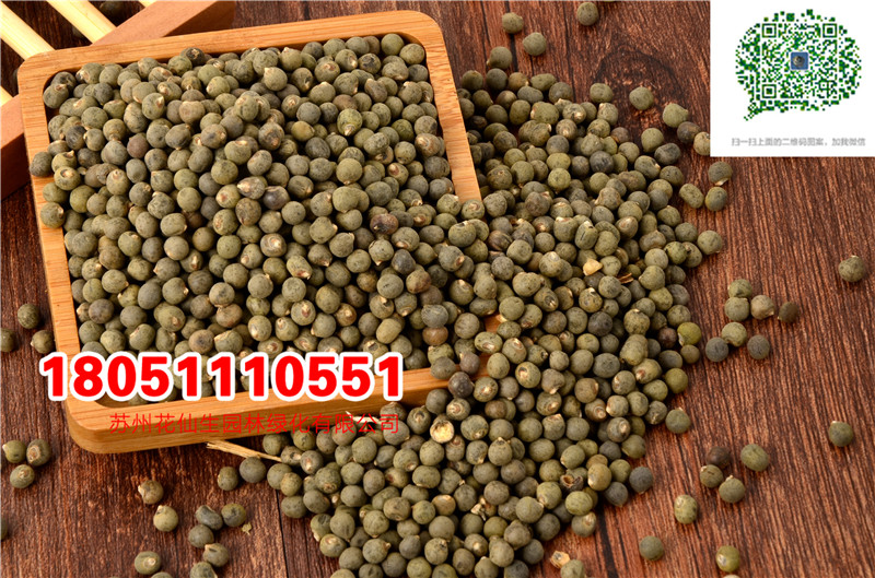 批發(fā)優(yōu)質(zhì)紅秋葵種子黃秋葵金秋葵蜀葵種子大花秋葵種子廠家圖片