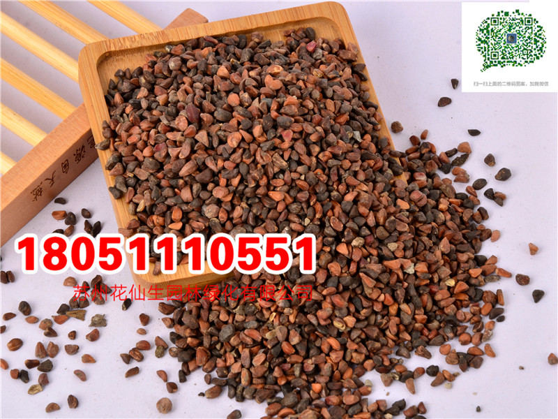 l(f)(yu)|(zh)SõNӼtõNӏSֱNNޱNӻ𼬷NõDƬ