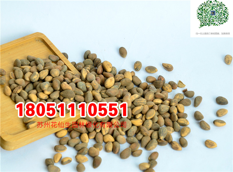 l|ƤɷNĈDƬSֱNrDƬ