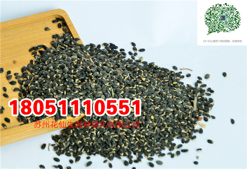 l|²ɷNӽϚgNĈDƬSֱNDƬ