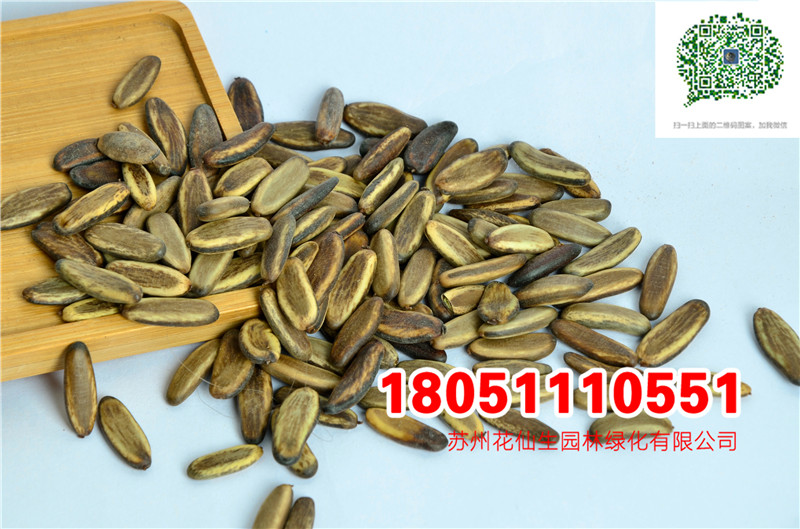 l(f)(yu)|(zh)(dng)²PľNĈDƬSֱNrDƬ