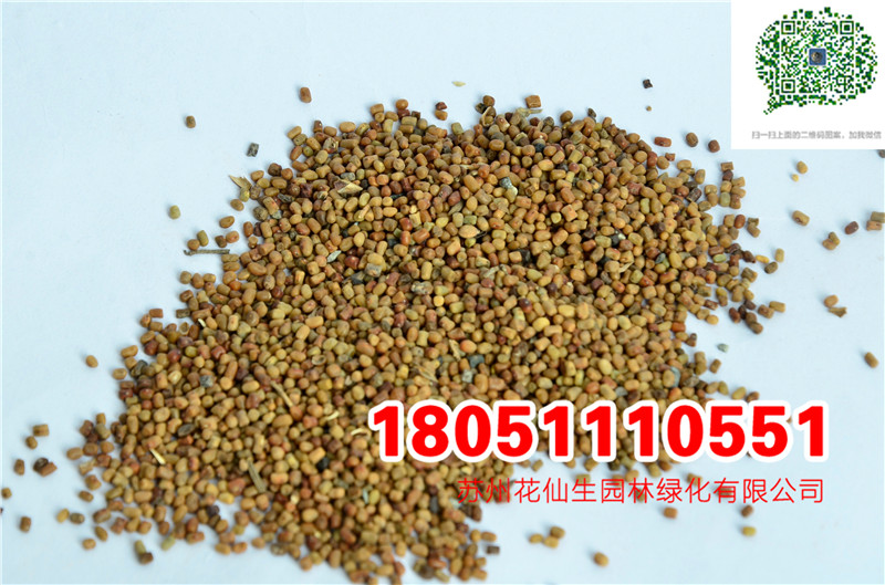 l(f)(yu)|(zh)໨ľmNӮ(dng)²ɷN(sh)ĈDƬSֱN(xio)r(ji)DƬ