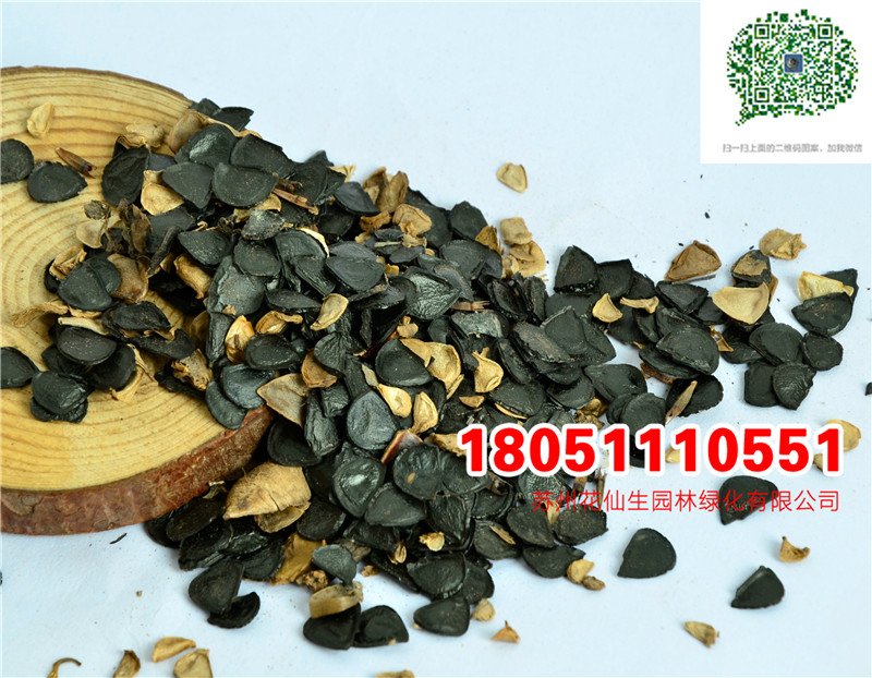 l|NӮ²ɷNĈDƬSֱNrDƬ