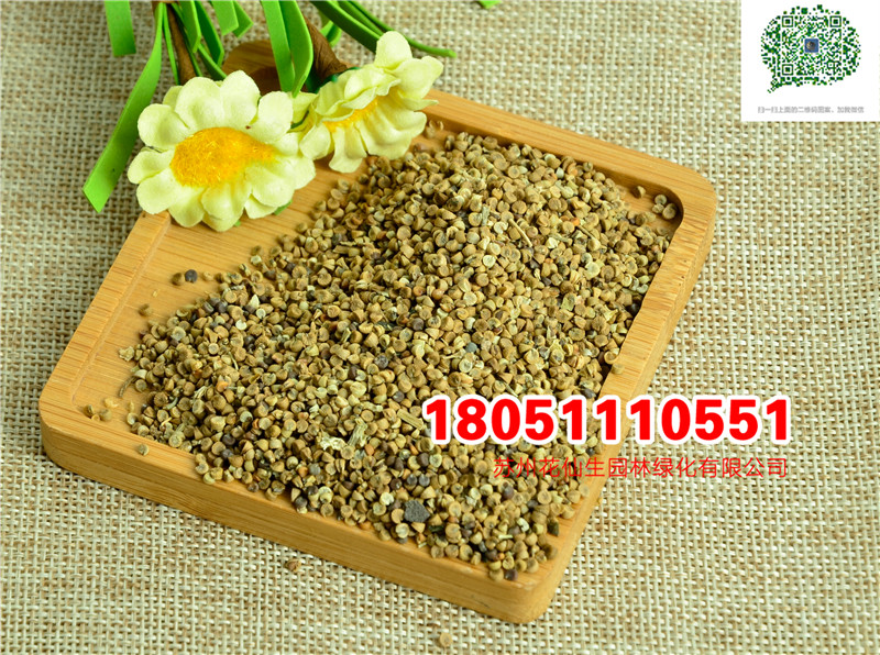 l(f)(yu)|(zh)\NӮ²ɷNĈDƬSֱNrDƬ