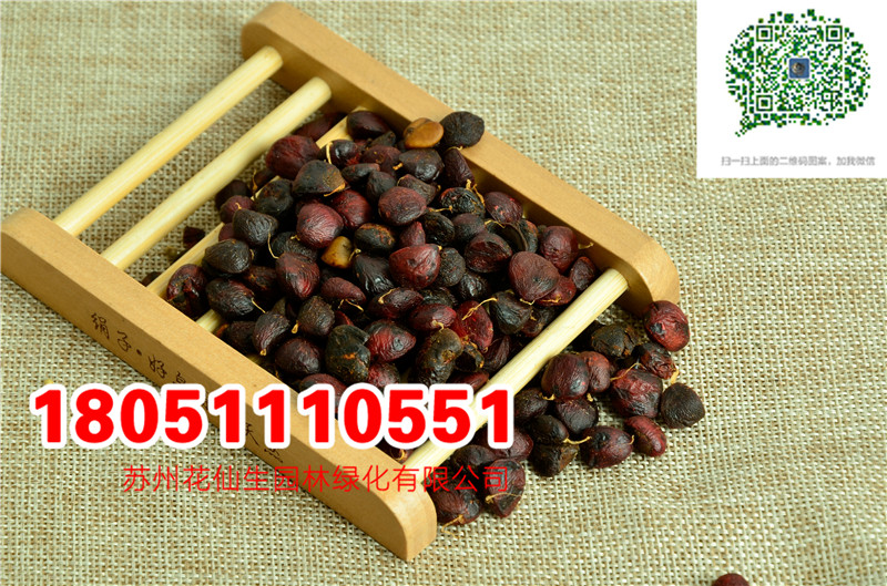 l(f)(yu)|(zh)mNӮ²ɷNĈDƬSֱNrDƬ