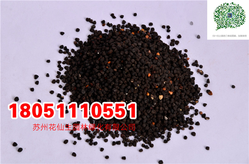 l|̷NӮ²ɷNĈDƬSֱNrDƬ