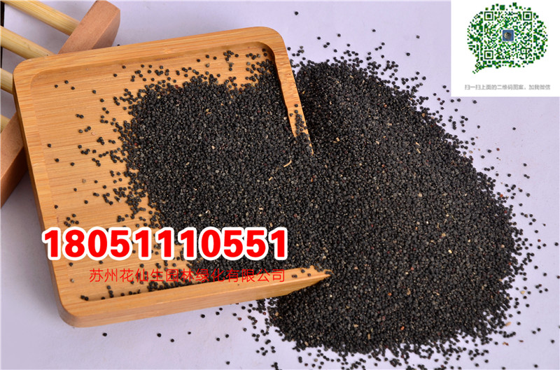 l(f)(yu)|(zh)RX{NӮ(dng)²ɷN(sh)ĈDƬSֱNr(ji)DƬ