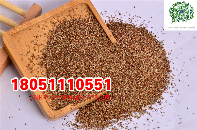 l~R޲ݷNӮ²ɷNĈDƬSֱNrDƬ