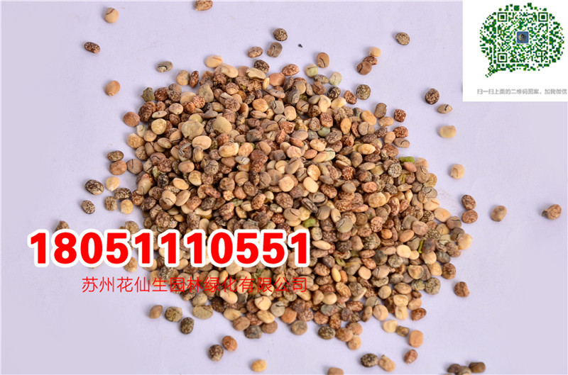 l|wNӮ²ɷNĈDƬSֱNrDƬ