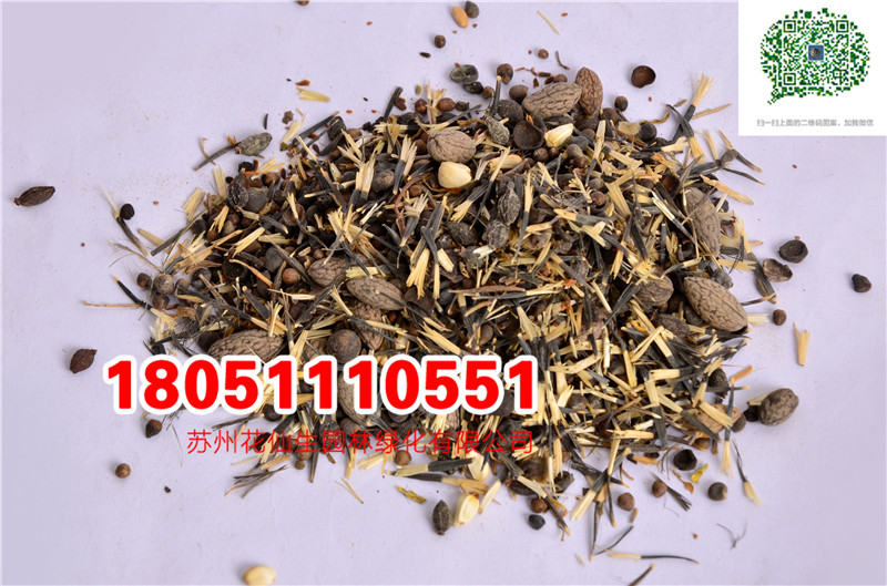 l|ҰMϷNĈDƬSֱNrDƬ