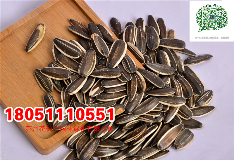 l|տNӮ²ɷNĈDƬSֱNrDƬ