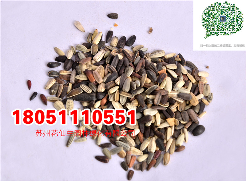 l|տNӮ²ɷNĈDƬSֱNrDƬ