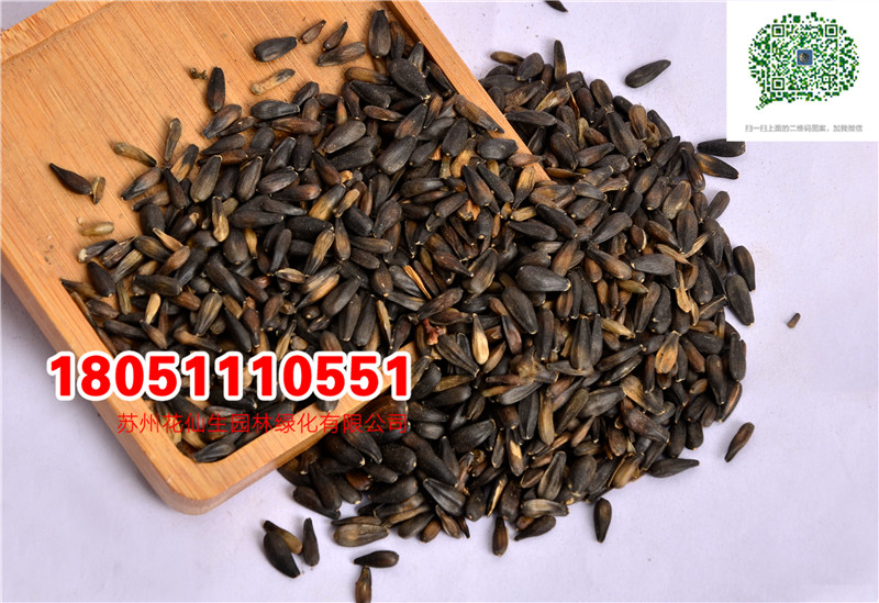 l|^տNӮ²ɷNĈDƬSֱNrDƬ