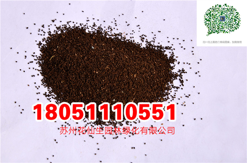 l|ɫ~ݷNӮ²ɷNĈDƬSֱNrDƬ