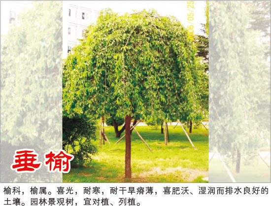 Ǘ,Ǘ,㴻,ǧ^,,,,܃rDƬ