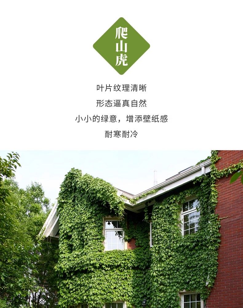 ɽ绨ٗlɽ~~ͥԺļLGɫ2DƬ