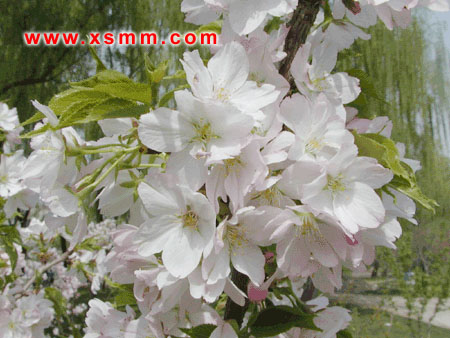 yļѩ_hɏVm~Ůؑɺ軨ʯ骶ӢDƬ